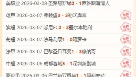 忍者神龟：帝国城评测：近年最佳大乐透游戏推荐